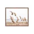 Picture of Beach Pampas _GroupedProduct_Rectangle_Landscape_Photography _GroupedProduct_Rectangle_Landscape_Framed_Matted_