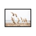 Picture of Beach Pampas _GroupedProduct_Rectangle_Landscape_Photography _GroupedProduct_Rectangle_Landscape_Framed_Matted_