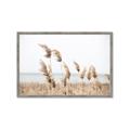 Picture of Beach Pampas _GroupedProduct_Rectangle_Landscape_Photography _GroupedProduct_Rectangle_Landscape_Framed_Matted_