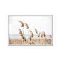 Picture of Beach Pampas _GroupedProduct_Rectangle_Landscape_Photography _GroupedProduct_Rectangle_Landscape_Framed_Matted_