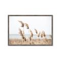 Picture of Beach Pampas _GroupedProduct_Rectangle_Landscape_Photography _GroupedProduct_Rectangle_Landscape_Framed_Matted_