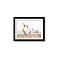 Picture of Beach Pampas _GroupedProduct_Rectangle_Landscape_Photography _GroupedProduct_Rectangle_Landscape_Framed_Matted_