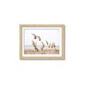 Picture of Beach Pampas _GroupedProduct_Rectangle_Landscape_Photography _GroupedProduct_Rectangle_Landscape_Framed_Matted_