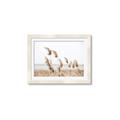 Picture of Beach Pampas _GroupedProduct_Rectangle_Landscape_Photography _GroupedProduct_Rectangle_Landscape_Framed_Matted_