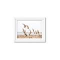Picture of Beach Pampas _GroupedProduct_Rectangle_Landscape_Photography _GroupedProduct_Rectangle_Landscape_Framed_Matted_