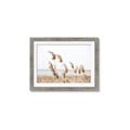 Picture of Beach Pampas _GroupedProduct_Rectangle_Landscape_Photography _GroupedProduct_Rectangle_Landscape_Framed_Matted_