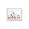 Picture of Beach Pampas _GroupedProduct_Rectangle_Landscape_Photography _GroupedProduct_Rectangle_Landscape_Framed_Matted_