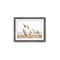 Picture of Beach Pampas _GroupedProduct_Rectangle_Landscape_Photography _GroupedProduct_Rectangle_Landscape_Framed_Matted_