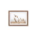 Picture of Beach Pampas _GroupedProduct_Rectangle_Landscape_Photography _GroupedProduct_Rectangle_Landscape_Framed_Matted_