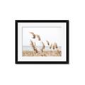 Picture of Beach Pampas _GroupedProduct_Rectangle_Landscape_Photography _GroupedProduct_Rectangle_Landscape_Framed_Matted_