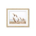 Picture of Beach Pampas _GroupedProduct_Rectangle_Landscape_Photography _GroupedProduct_Rectangle_Landscape_Framed_Matted_