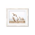 Picture of Beach Pampas _GroupedProduct_Rectangle_Landscape_Photography _GroupedProduct_Rectangle_Landscape_Framed_Matted_
