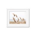 Picture of Beach Pampas _GroupedProduct_Rectangle_Landscape_Photography _GroupedProduct_Rectangle_Landscape_Framed_Matted_