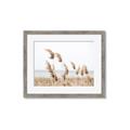 Picture of Beach Pampas _GroupedProduct_Rectangle_Landscape_Photography _GroupedProduct_Rectangle_Landscape_Framed_Matted_