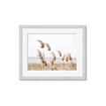 Picture of Beach Pampas _GroupedProduct_Rectangle_Landscape_Photography _GroupedProduct_Rectangle_Landscape_Framed_Matted_