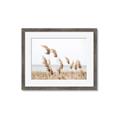 Picture of Beach Pampas _GroupedProduct_Rectangle_Landscape_Photography _GroupedProduct_Rectangle_Landscape_Framed_Matted_