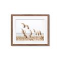 Picture of Beach Pampas _GroupedProduct_Rectangle_Landscape_Photography _GroupedProduct_Rectangle_Landscape_Framed_Matted_