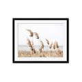 Picture of Beach Pampas _GroupedProduct_Rectangle_Landscape_Photography _GroupedProduct_Rectangle_Landscape_Framed_Matted_