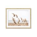 Picture of Beach Pampas _GroupedProduct_Rectangle_Landscape_Photography _GroupedProduct_Rectangle_Landscape_Framed_Matted_
