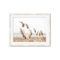 Picture of Beach Pampas _GroupedProduct_Rectangle_Landscape_Photography _GroupedProduct_Rectangle_Landscape_Framed_Matted_