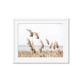 Picture of Beach Pampas _GroupedProduct_Rectangle_Landscape_Photography _GroupedProduct_Rectangle_Landscape_Framed_Matted_