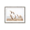 Picture of Beach Pampas _GroupedProduct_Rectangle_Landscape_Photography _GroupedProduct_Rectangle_Landscape_Framed_Matted_
