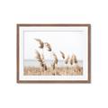 Picture of Beach Pampas _GroupedProduct_Rectangle_Landscape_Photography _GroupedProduct_Rectangle_Landscape_Framed_Matted_