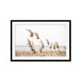 Picture of Beach Pampas _GroupedProduct_Rectangle_Landscape_Photography _GroupedProduct_Rectangle_Landscape_Framed_Matted_