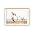 Picture of Beach Pampas _GroupedProduct_Rectangle_Landscape_Photography _GroupedProduct_Rectangle_Landscape_Framed_Matted_