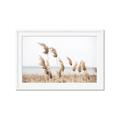 Picture of Beach Pampas _GroupedProduct_Rectangle_Landscape_Photography _GroupedProduct_Rectangle_Landscape_Framed_Matted_