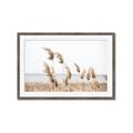 Picture of Beach Pampas _GroupedProduct_Rectangle_Landscape_Photography _GroupedProduct_Rectangle_Landscape_Framed_Matted_