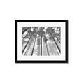 Picture of Sky High Trees _GroupedProduct_Rectangle_Landscape_Photography _GroupedProduct_Rectangle_Landscape_Framed_Matted_