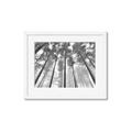 Picture of Sky High Trees _GroupedProduct_Rectangle_Landscape_Photography _GroupedProduct_Rectangle_Landscape_Framed_Matted_