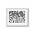 Picture of Sky High Trees _GroupedProduct_Rectangle_Landscape_Photography _GroupedProduct_Rectangle_Landscape_Framed_Matted_