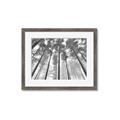 Picture of Sky High Trees _GroupedProduct_Rectangle_Landscape_Photography _GroupedProduct_Rectangle_Landscape_Framed_Matted_