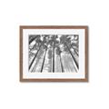 Picture of Sky High Trees _GroupedProduct_Rectangle_Landscape_Photography _GroupedProduct_Rectangle_Landscape_Framed_Matted_