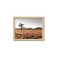 Picture of One Tree _GroupedProduct_Rectangle_Landscape_Photography _GroupedProduct_Rectangle_Landscape_Framed_Matted_