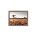 Picture of One Tree _GroupedProduct_Rectangle_Landscape_Photography _GroupedProduct_Rectangle_Landscape_Framed_Matted_