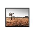 Picture of One Tree _GroupedProduct_Rectangle_Landscape_Photography _GroupedProduct_Rectangle_Landscape_Framed_Matted_