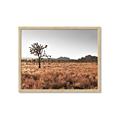 Picture of One Tree _GroupedProduct_Rectangle_Landscape_Photography _GroupedProduct_Rectangle_Landscape_Framed_Matted_