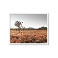Picture of One Tree _GroupedProduct_Rectangle_Landscape_Photography _GroupedProduct_Rectangle_Landscape_Framed_Matted_