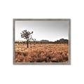 Picture of One Tree _GroupedProduct_Rectangle_Landscape_Photography _GroupedProduct_Rectangle_Landscape_Framed_Matted_