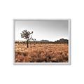 Picture of One Tree _GroupedProduct_Rectangle_Landscape_Photography _GroupedProduct_Rectangle_Landscape_Framed_Matted_