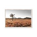 Picture of One Tree _GroupedProduct_Rectangle_Landscape_Photography _GroupedProduct_Rectangle_Landscape_Framed_Matted_