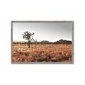 Picture of One Tree _GroupedProduct_Rectangle_Landscape_Photography _GroupedProduct_Rectangle_Landscape_Framed_Matted_