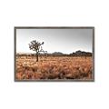 Picture of One Tree _GroupedProduct_Rectangle_Landscape_Photography _GroupedProduct_Rectangle_Landscape_Framed_Matted_
