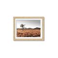 Picture of One Tree _GroupedProduct_Rectangle_Landscape_Photography _GroupedProduct_Rectangle_Landscape_Framed_Matted_