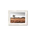 Picture of One Tree _GroupedProduct_Rectangle_Landscape_Photography _GroupedProduct_Rectangle_Landscape_Framed_Matted_
