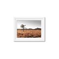 Picture of One Tree _GroupedProduct_Rectangle_Landscape_Photography _GroupedProduct_Rectangle_Landscape_Framed_Matted_