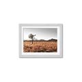 Picture of One Tree _GroupedProduct_Rectangle_Landscape_Photography _GroupedProduct_Rectangle_Landscape_Framed_Matted_